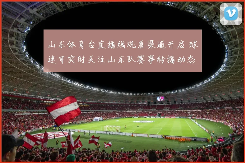 山东体育台直播线观看渠道开启 球迷可实时关注山东队赛事转播动态