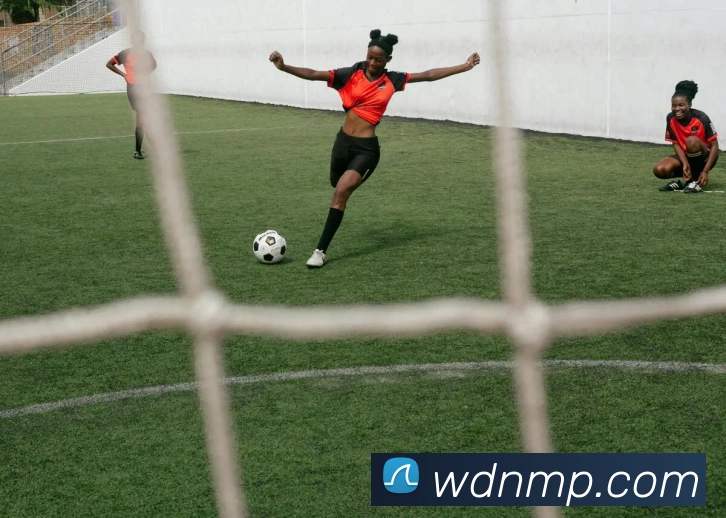 App Interface Preview