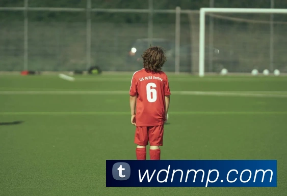 数据防护可视化